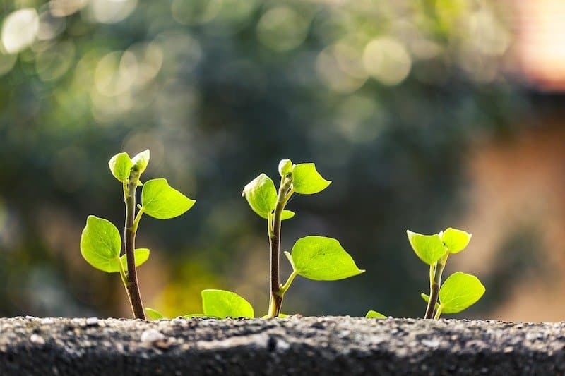 6 Ways To Grow Your Gift Of Prophecy 6 Ways To Grow Your Gift Of Prophecy